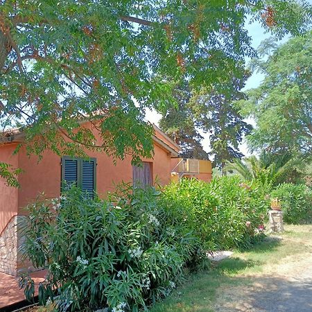 Il Giogo Agriturismo Rosignano Marittimo Exterior foto