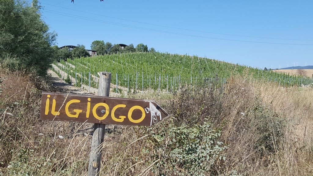 Il Giogo Agriturismo Rosignano Marittimo Exterior foto