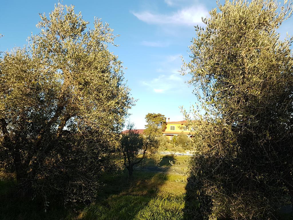 Il Giogo Agriturismo Rosignano Marittimo Exterior foto